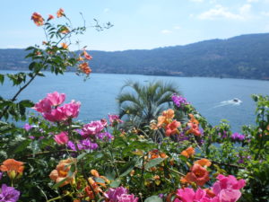 ITALIE, Lac Majeur, Isola Madre